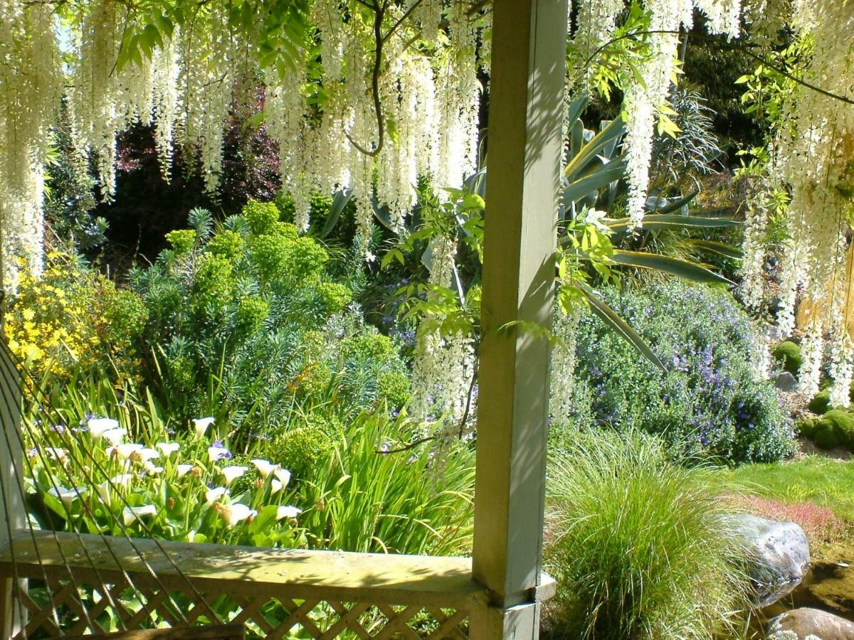 English Cherry Tree Manor Tamahere Exterior photo
